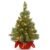 National Tree Company Pre-lit Artificial Mini Christmas Tree | Includes Small Lights and Cloth Bag Base | Majestic Fir – 2 ft